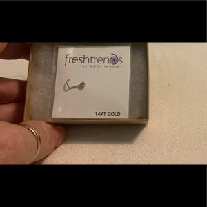 Amazon.com:Diamond Flush Bezel Set Diamond 14K White Gold Twist Nose Ring 20G :